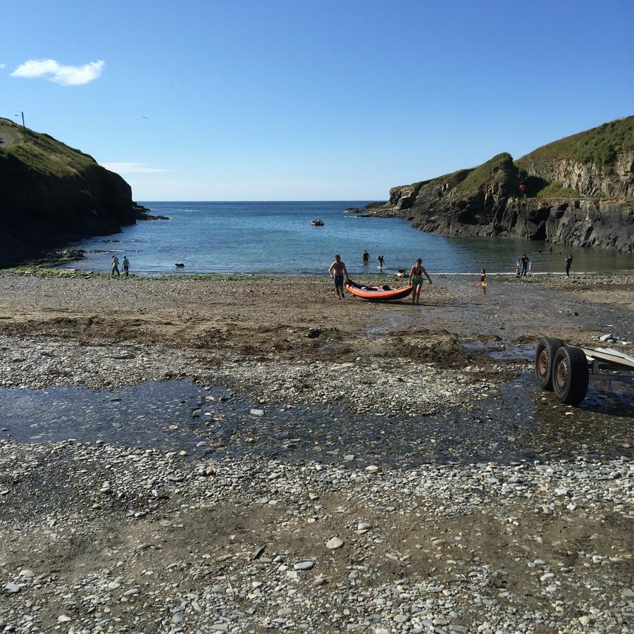 Stargazy Inn Port Isaac Eksteriør billede