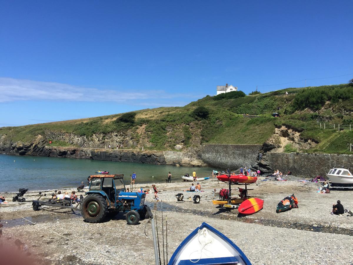 Stargazy Inn Port Isaac Eksteriør billede